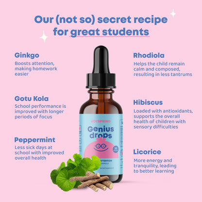 JoySpring Genius Drops for Kids | Clinically Proven Focus Supplement | Liquid Herbal Focus Supplement with Ginkgo Biloba for Kids (1 fl oz) 30 Servings Nirvana Guru