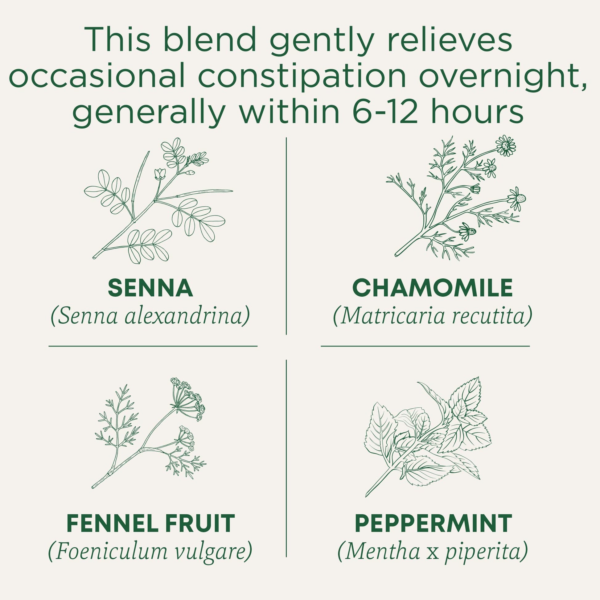 Traditional Medicinals Tea, Organic Smooth Move Peppermint, Relieves Occasional Constipation, Senna, 16 Tea Bags - Nirvana Guru