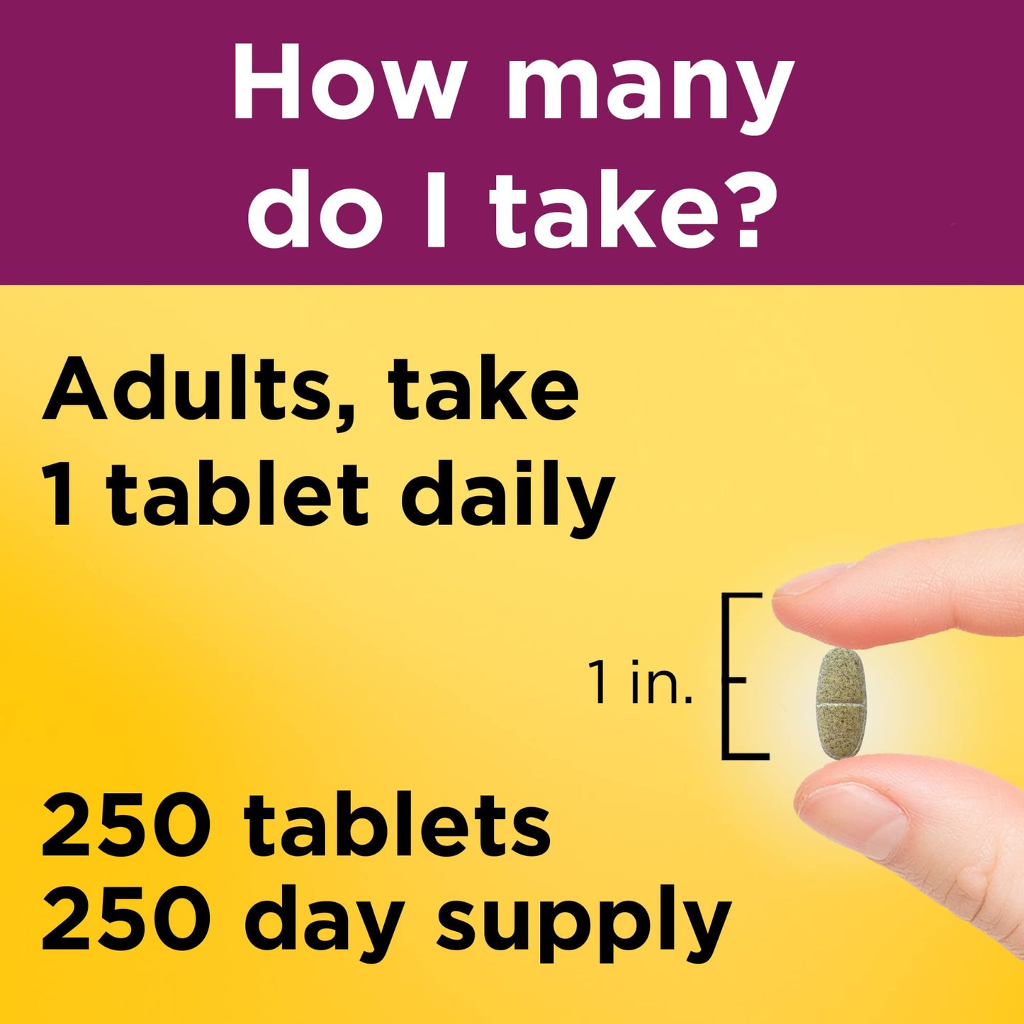 Nature Made Prenatal Multivitamin with Folic Acid, Prenatal Vitamin and Mineral Supplement for Daily Nutritional Support, 250 Tablets, 250 Day Supply - Nirvana Guru