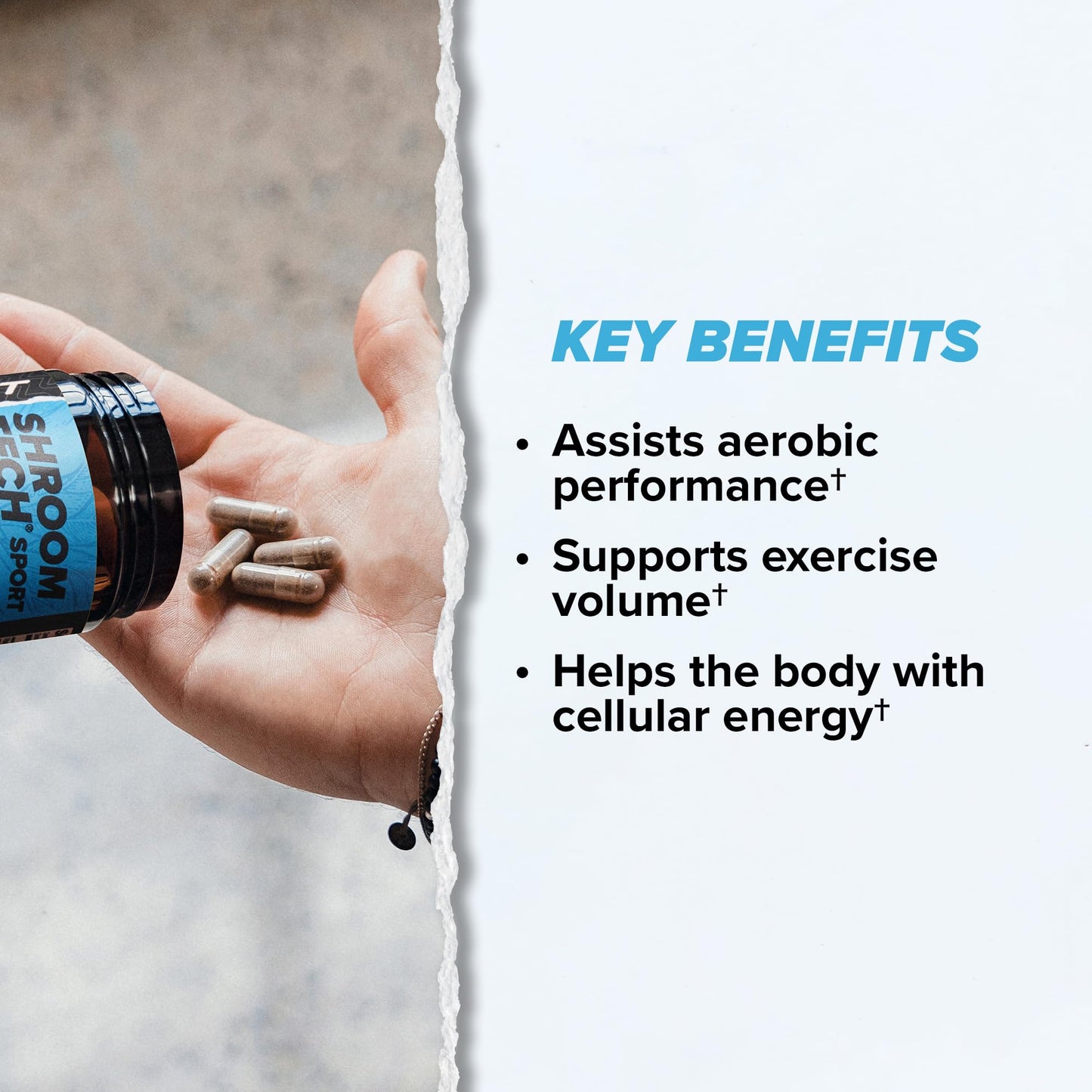 ONNIT Shroom Tech Sport Daily Exercise Support Capsules, Pre Workout Supplement with Cordyceps Mushrooms, Caffeine-Free Dietary Supplement for Daily Energy Support, 84 Count
