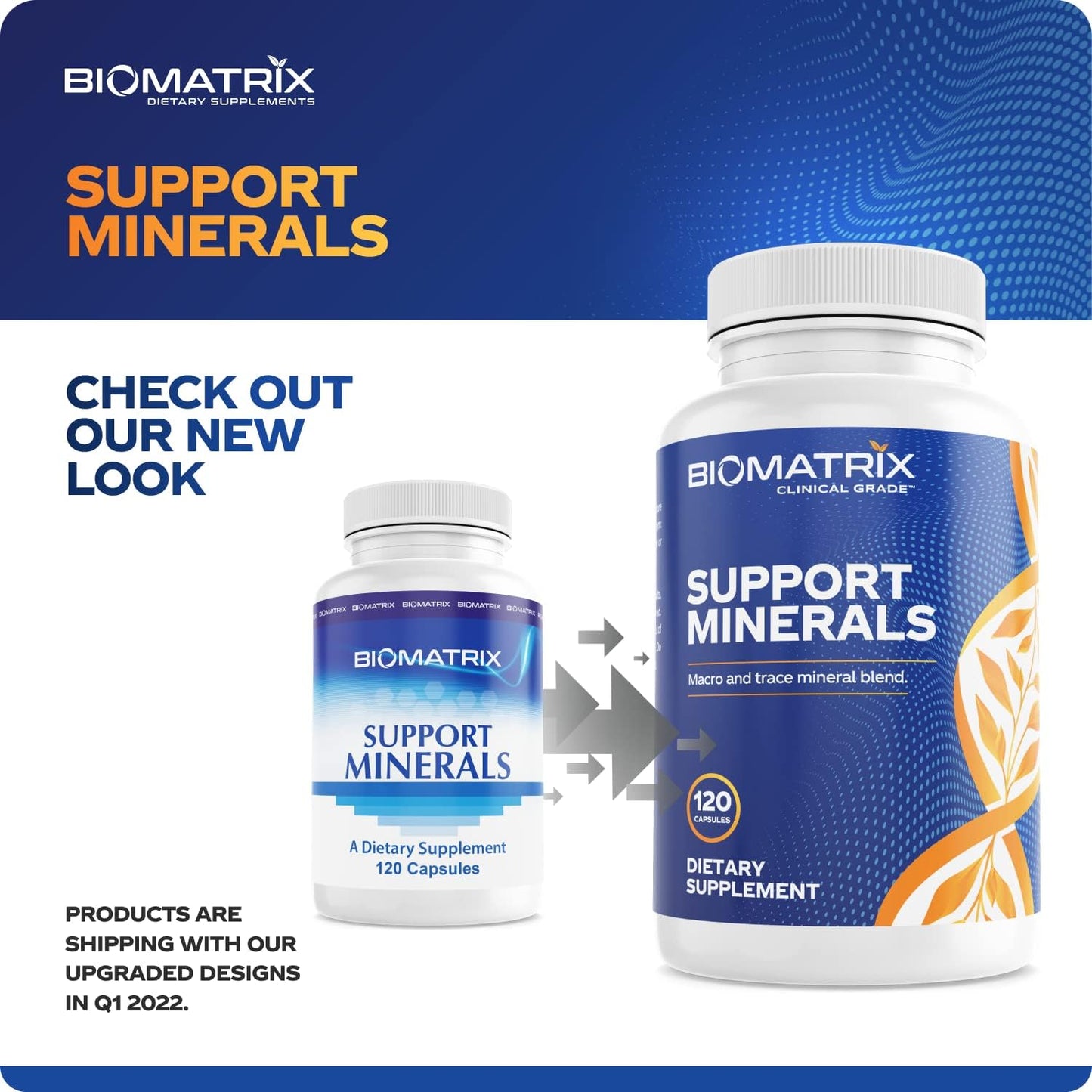 BioMatrix Mineral Supplement for Men and Women, Chelated Minerals | Iron-Free, Calcium, Magnesium, Copper, Zinc, Vitamin D, Iodine | Veggie Caps, 30-Day Supply Nirvana Guru