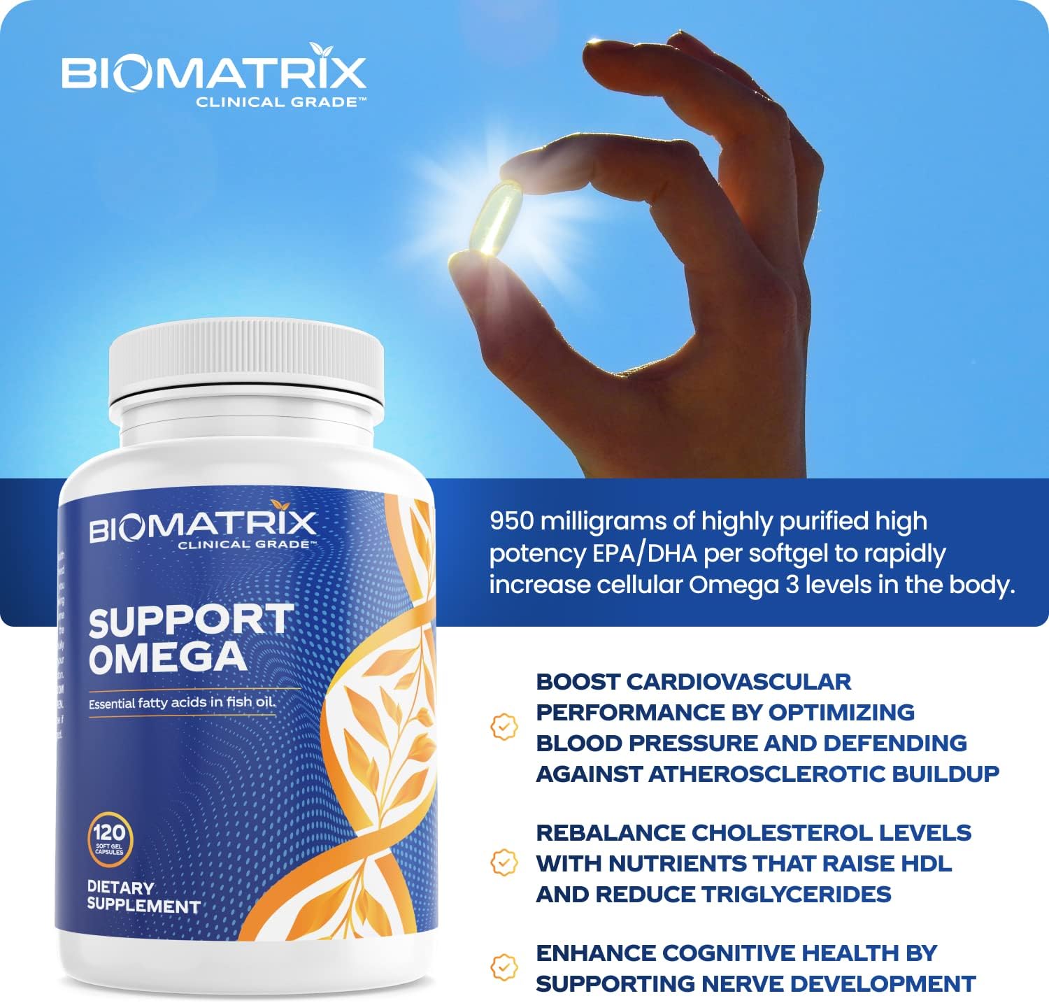 Support Omega (120 Gel Capsules) Omega 3 Fish Oil Supplement - Cardiovascular, Musculoskeletal Support Nirvana Guru