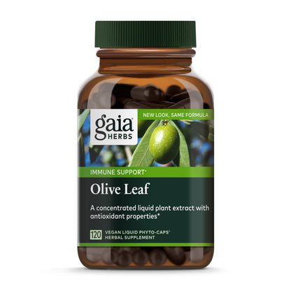 Gaia Herbs Olive Leaf - Traditional Immune Health Support - Immune System Supplement with Olive Leaf Extract and Oleuropein - 120 Vegan Liquid Phyto-Caps - Nirvana Guru