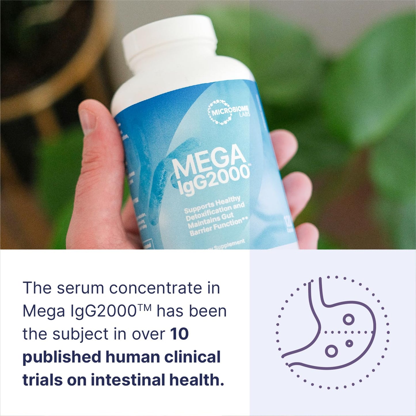 Microbiome Labs Mega IgG2000 Capsules - Dairy Free Bovine Colostrum Supplement Alternative - Immunoglobulin Supplement from Bovine Serum to Support Digestive Health (120 Capsules) - Nirvana Guru