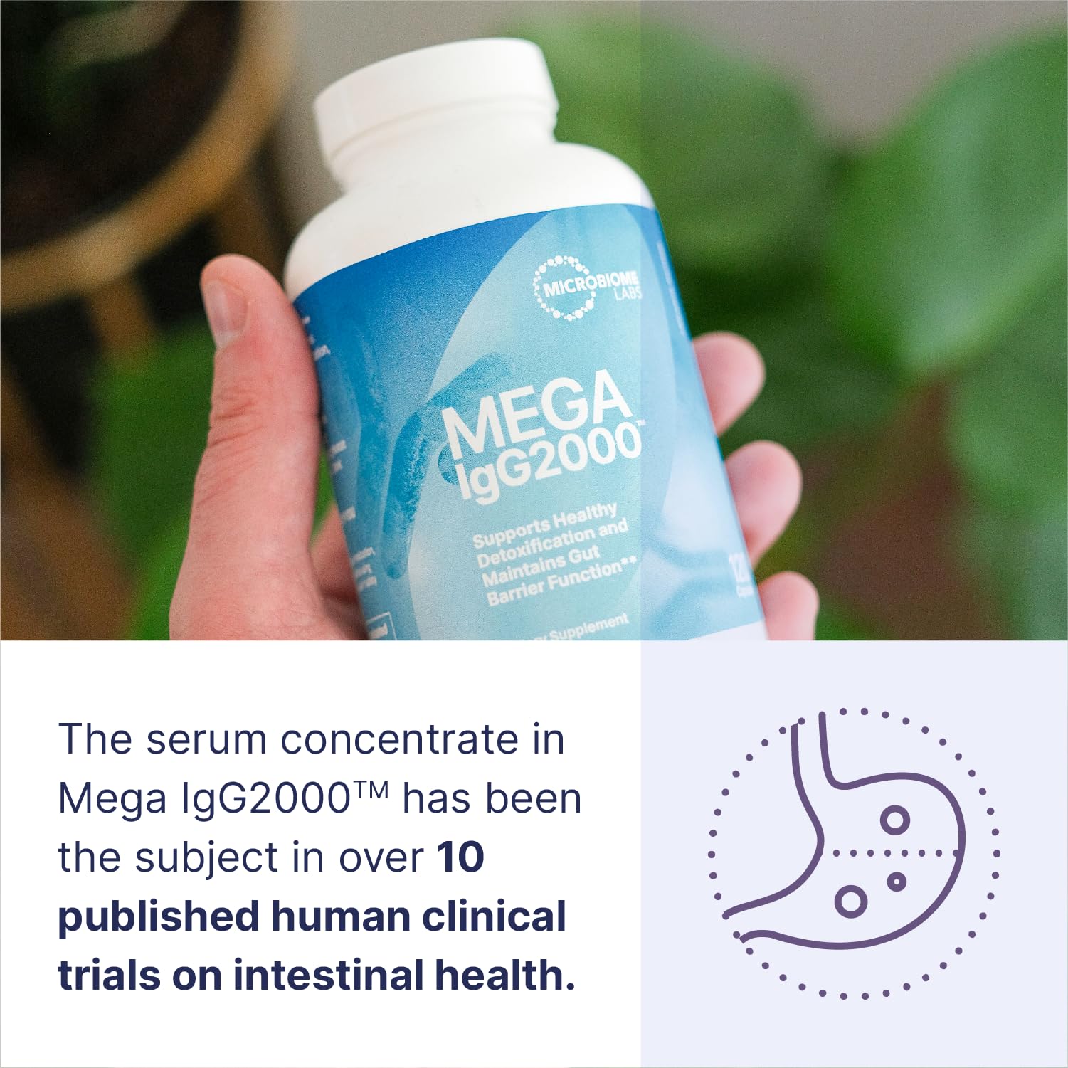 Microbiome Labs Mega IgG2000 Capsules - Dairy Free Bovine Colostrum Supplement Alternative - Immunoglobulin Supplement from Bovine Serum to Support Digestive Health (120 Capsules) - Nirvana Guru