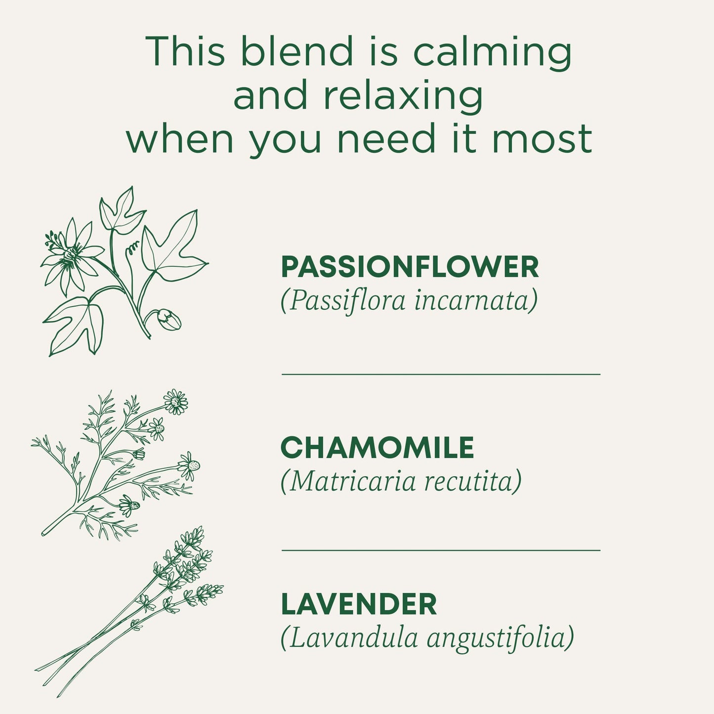 Traditional Medicinals Tea, Organic Chamomile, Calming, Calms Your Nerves, Supports Healthy Digestion, 96 Tea Bags (6 Pack) - Nirvana Guru