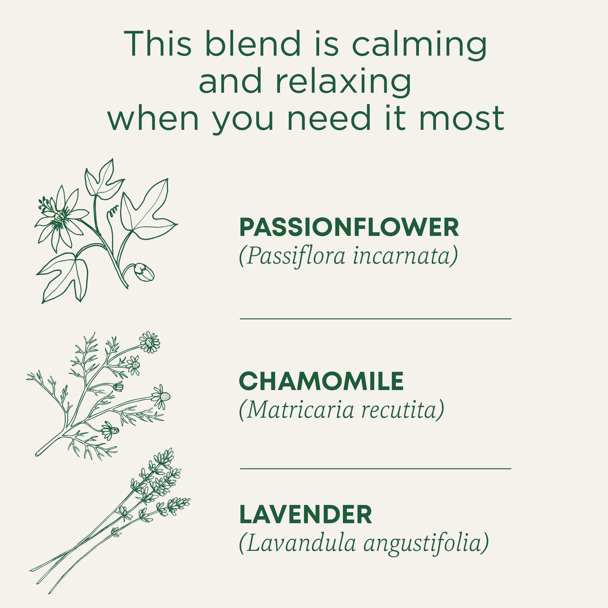 Traditional Medicinals Tea, Organic Chamomile, Calming, Calms Your Nerves, Supports Healthy Digestion, 96 Tea Bags (6 Pack) - Nirvana Guru
