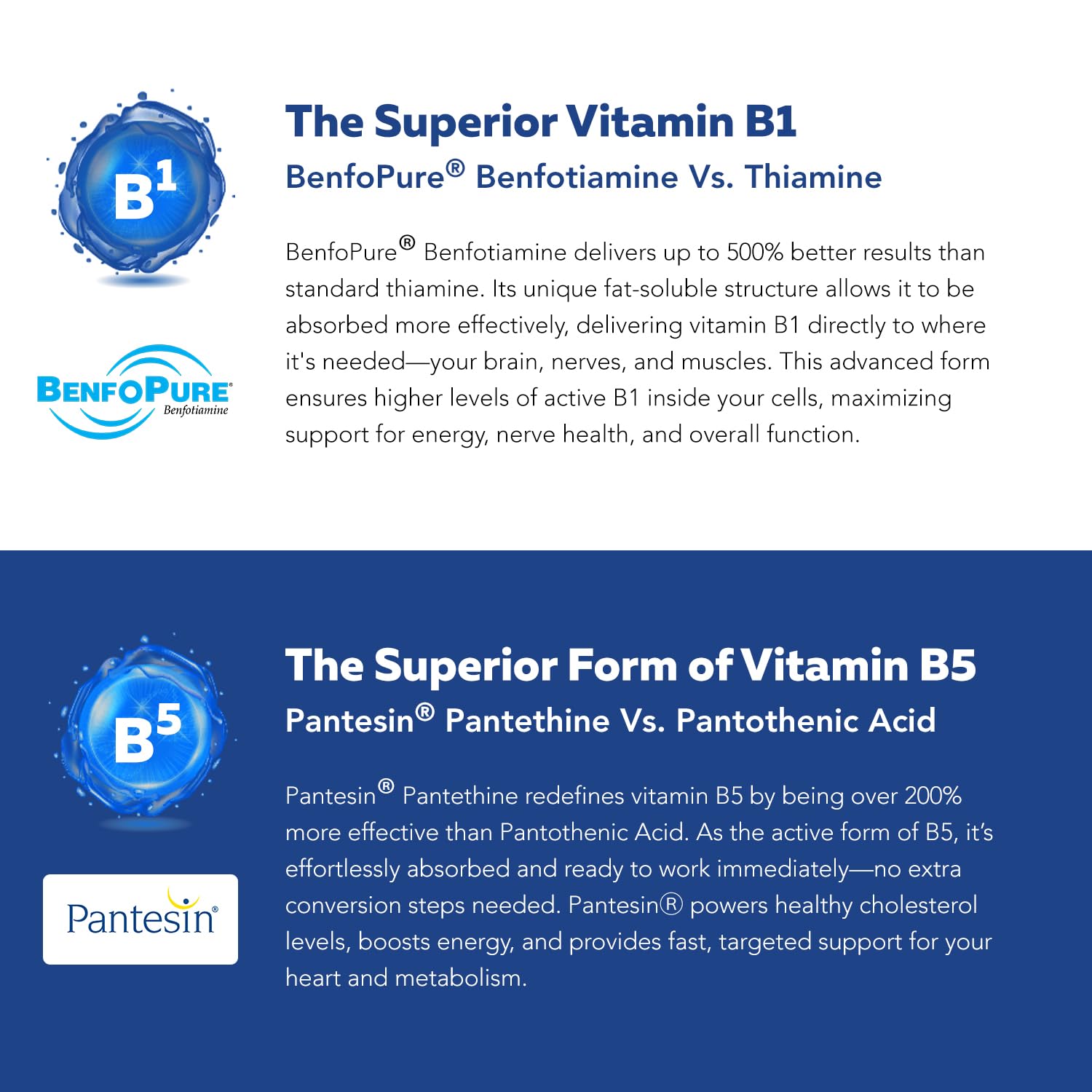 BioActive Vitamin B Complex - Blood Stream Ready, Methylated B Complex - Featuring Methylfolate, 3 BioActive Forms of B12, BenfoPure® B1 & Pantesin® B5 - 12 B Vitamins in Clinical Doses - 60 Servings Nirvana Guru
