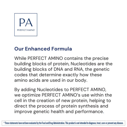 BodyHealth PerfectAmino Powder - BCAA and EAA Powder for Pre and Post Workout - Amino Acid Energy Drink for Men and Women to Support Lean Muscle and Recovery - Strawberry - 30 Servings Nirvana Guru
