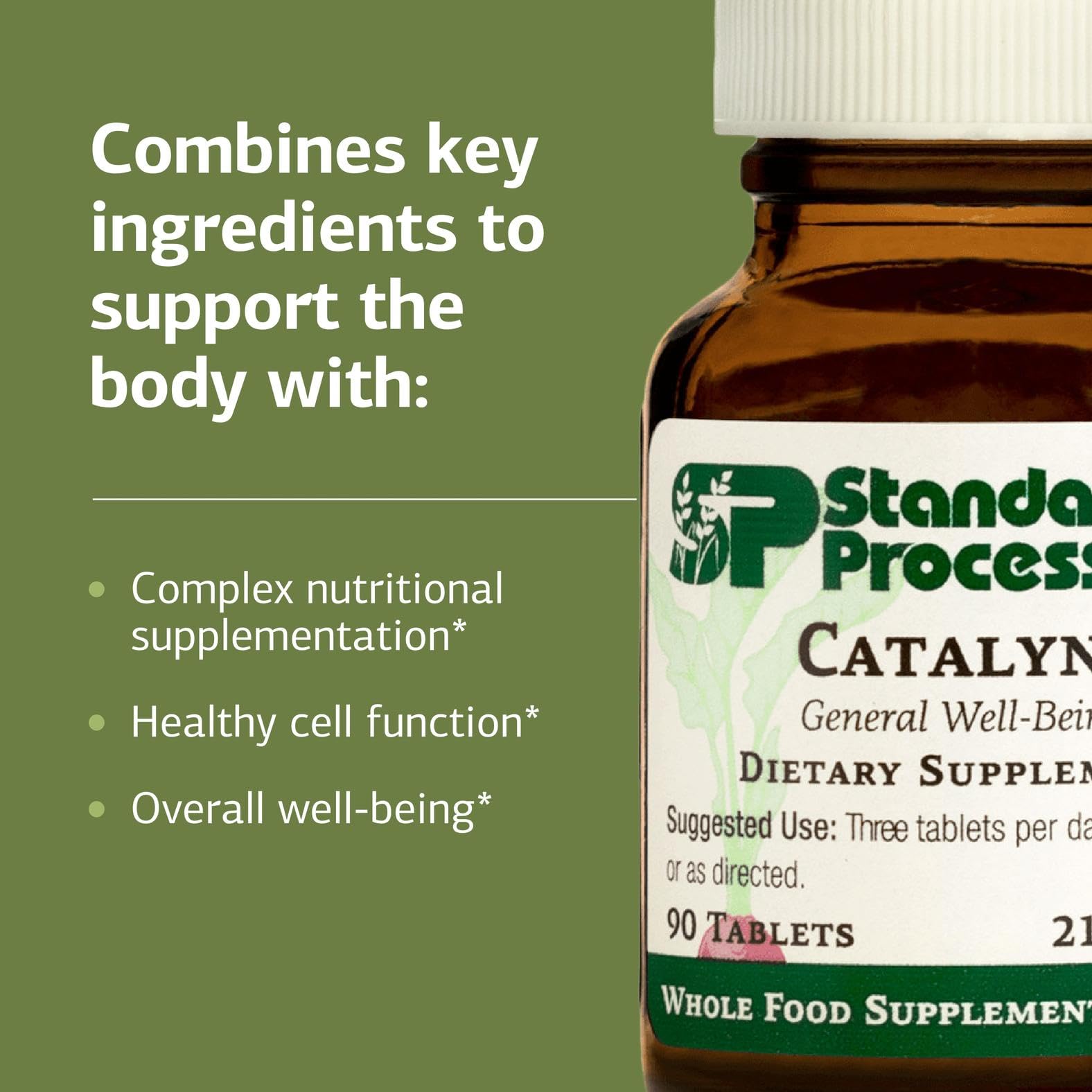 Standard Process Catalyn - Whole-Food Based Foundational Support for General Wellbeing with Vitamins D, C, A & B6, Thiamine, Riboflavin, Magnesium Citrate & More - 90 Tablets Nirvana Guru