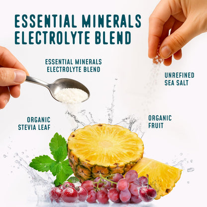FlavCity Electrolytes Powder Packets - 28 Hydration Packets, Variety Pack - No Added Sugar - Hydration Powder with Real Fruit & Unrefined Sea Salt - Keto & Gluten-Free (28 Stick Packs) Nirvana Guru