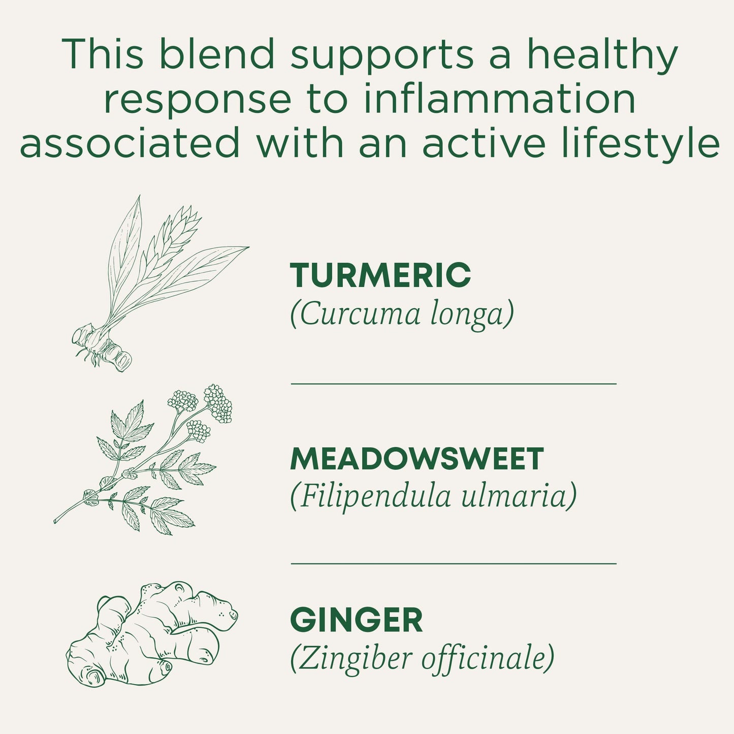 Traditional Medicinals Organic Nettle Leaf Herbal Tea, Supports Joint Health & Overall Wellness, (Pack of 1) - 16 Tea Bags - Nirvana Guru