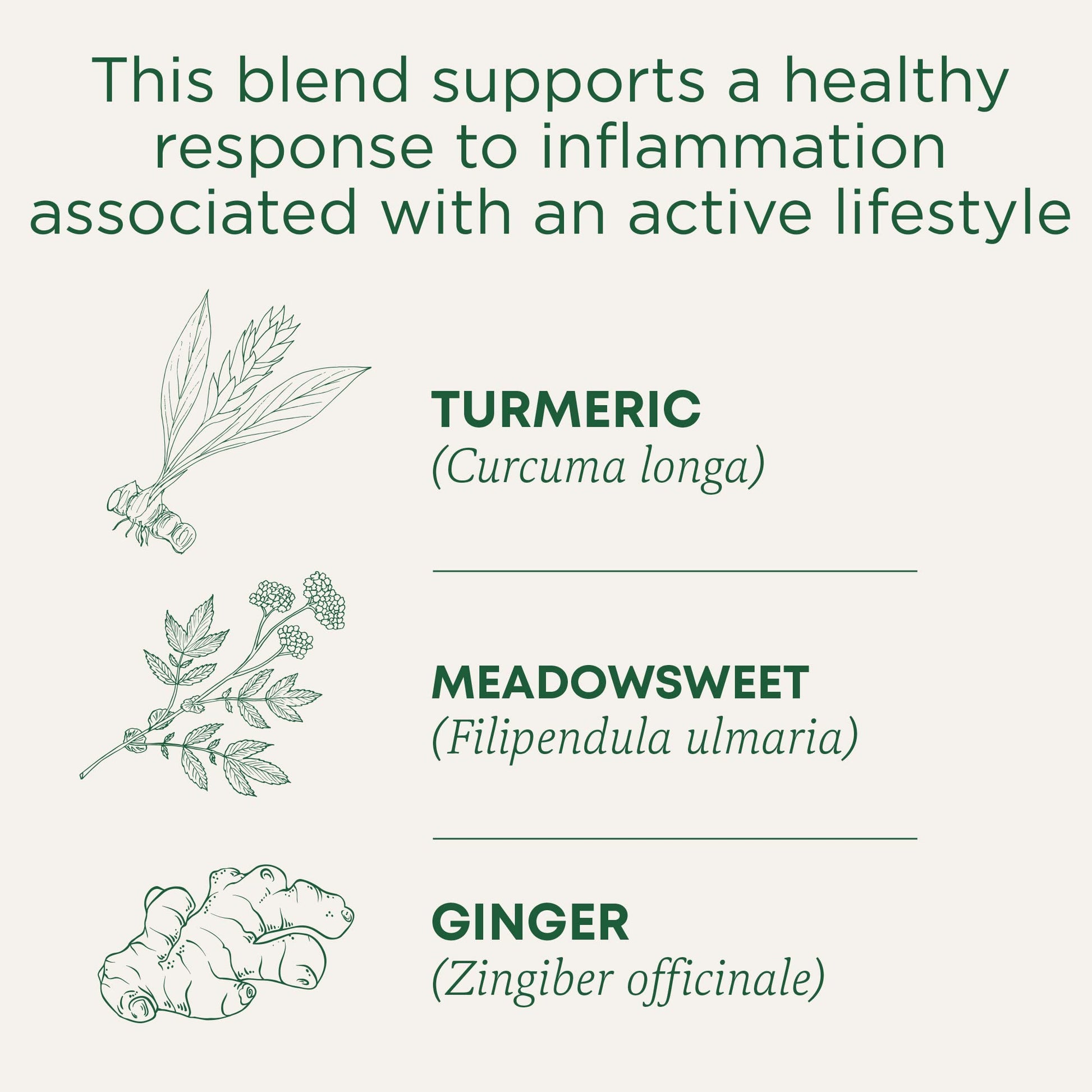 Traditional Medicinals Organic Nettle Leaf Herbal Tea, Supports Joint Health & Overall Wellness, (Pack of 1) - 16 Tea Bags - Nirvana Guru