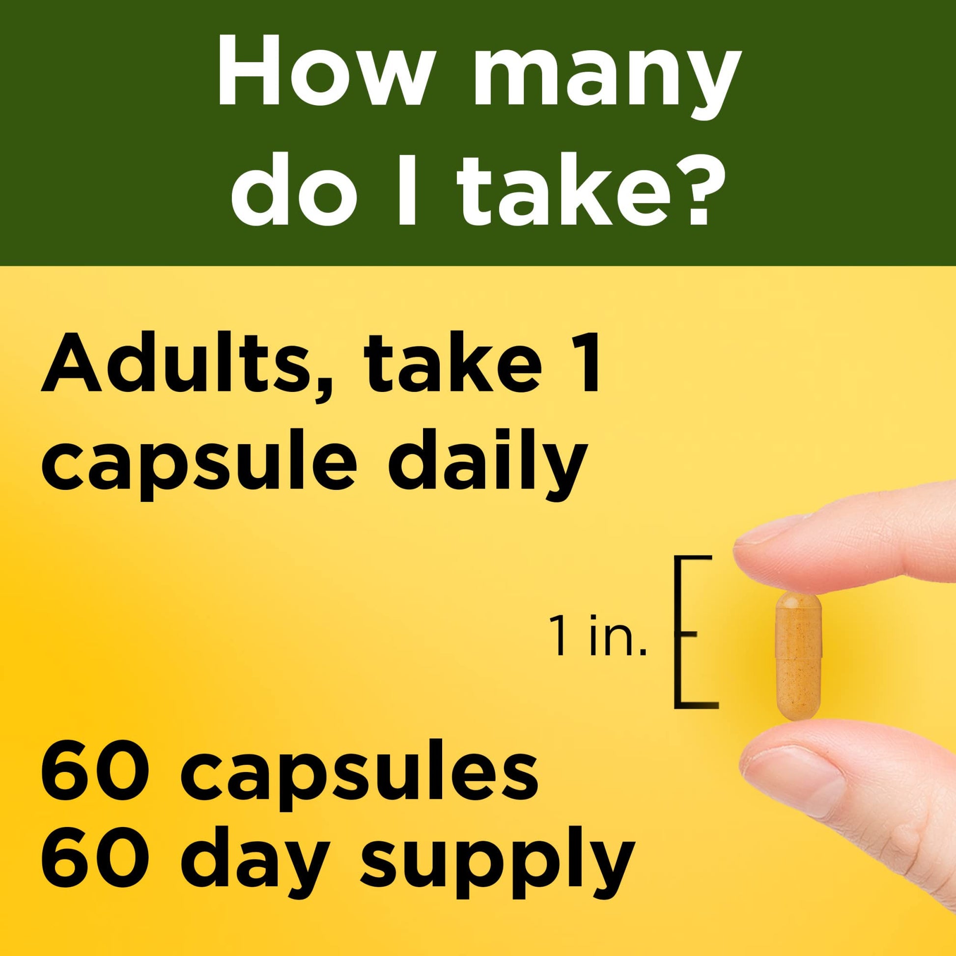 Nature Made Turmeric Curcumin 500 mg, Herbal Supplement for Antioxidant Support, 120 Capsules, 120 Day Supply - Nirvana Guru