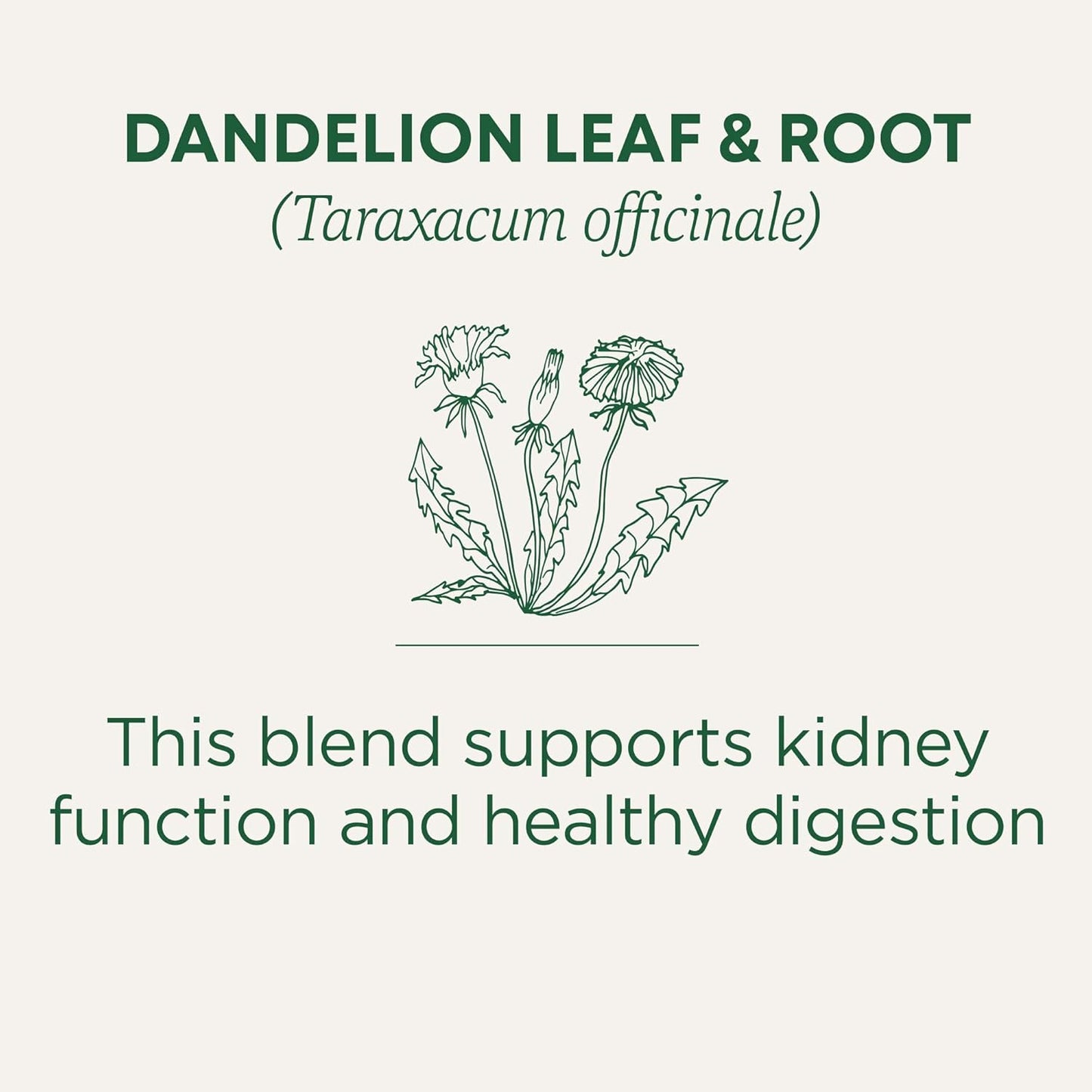 Traditional Medicinals Organic Dandelion Leaf & Root Herbal Tea (Pack of 1), Supports Kidney Function and Healthy Digestion, 16 Tea Bags Total - Nirvana Guru