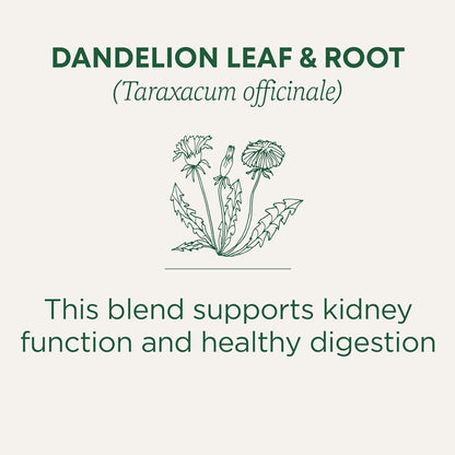 Traditional Medicinals Organic Dandelion Leaf & Root Herbal Tea (Pack of 1), Supports Kidney Function and Healthy Digestion, 16 Tea Bags Total - Nirvana Guru