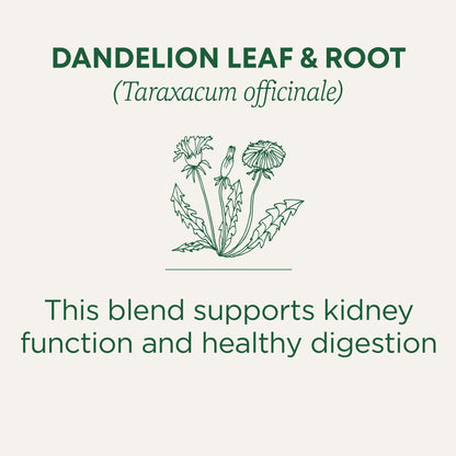 Traditional Medicinals Tea, Organic Roasted Dandelion Root, Supports Kidney Function & Healthy Digestion, 96 Tea Bags (6 Pack) - Nirvana Guru