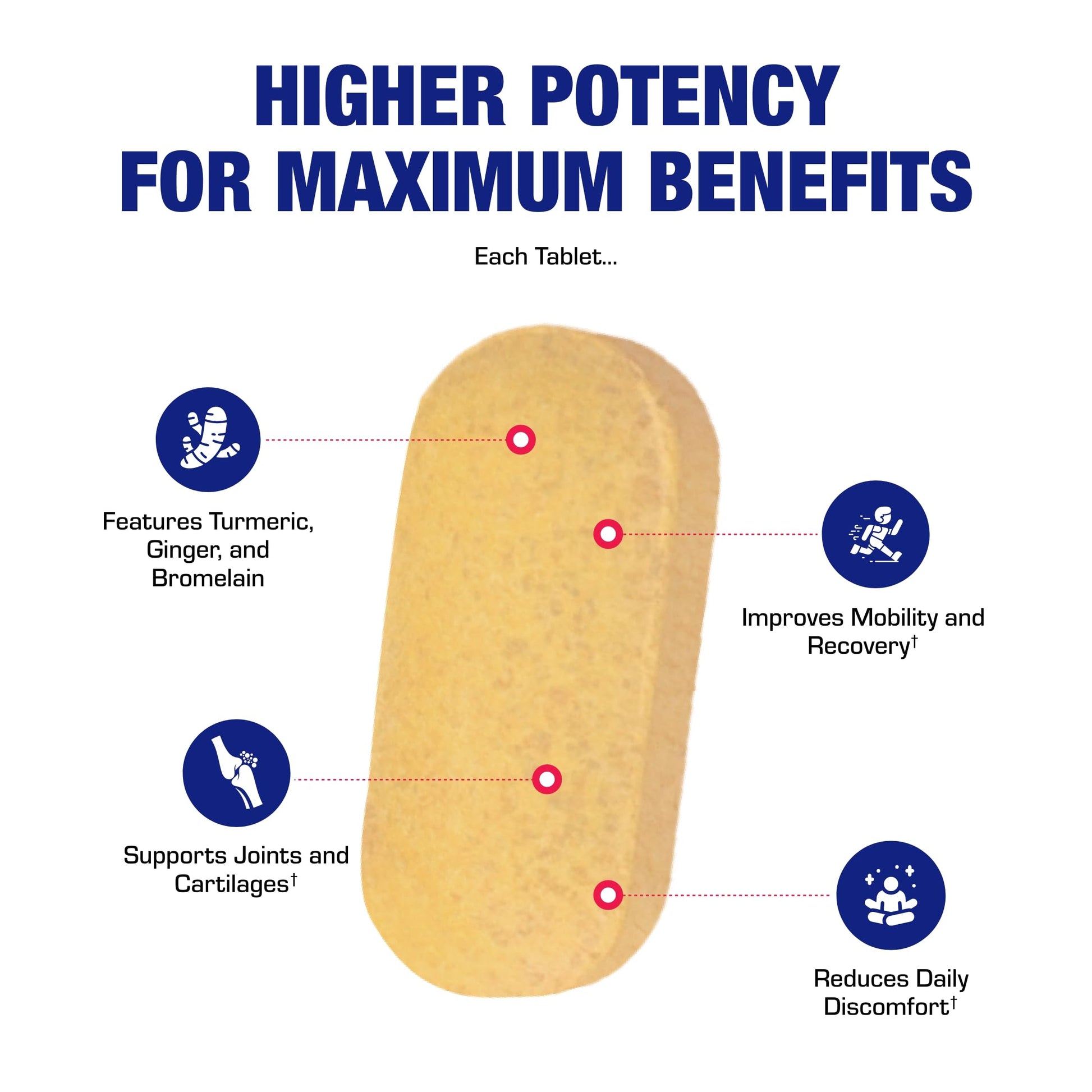Pro ENZ Joint Support Supplement - Clinical Formula Turmeric Boswellia Supplement for Joint & Cartilage Mobility and Comfort Support Plus Eicosanoid Management with Proteolytic Enzymes (120 Servings) Nirvana Guru