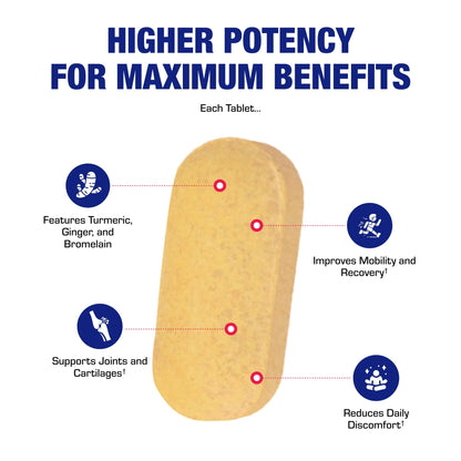 Pro ENZ Joint Support Supplement - Clinical Formula Turmeric Boswellia Supplement for Joint & Cartilage Mobility and Comfort Support Plus Eicosanoid Management with Proteolytic Enzymes (120 Servings) Nirvana Guru