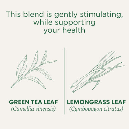 Traditional Medicinals Tea, Organic Green Tea Matcha, Genmaicha, Supports Health, 96 Tea Bags (6 Pack) - Nirvana Guru