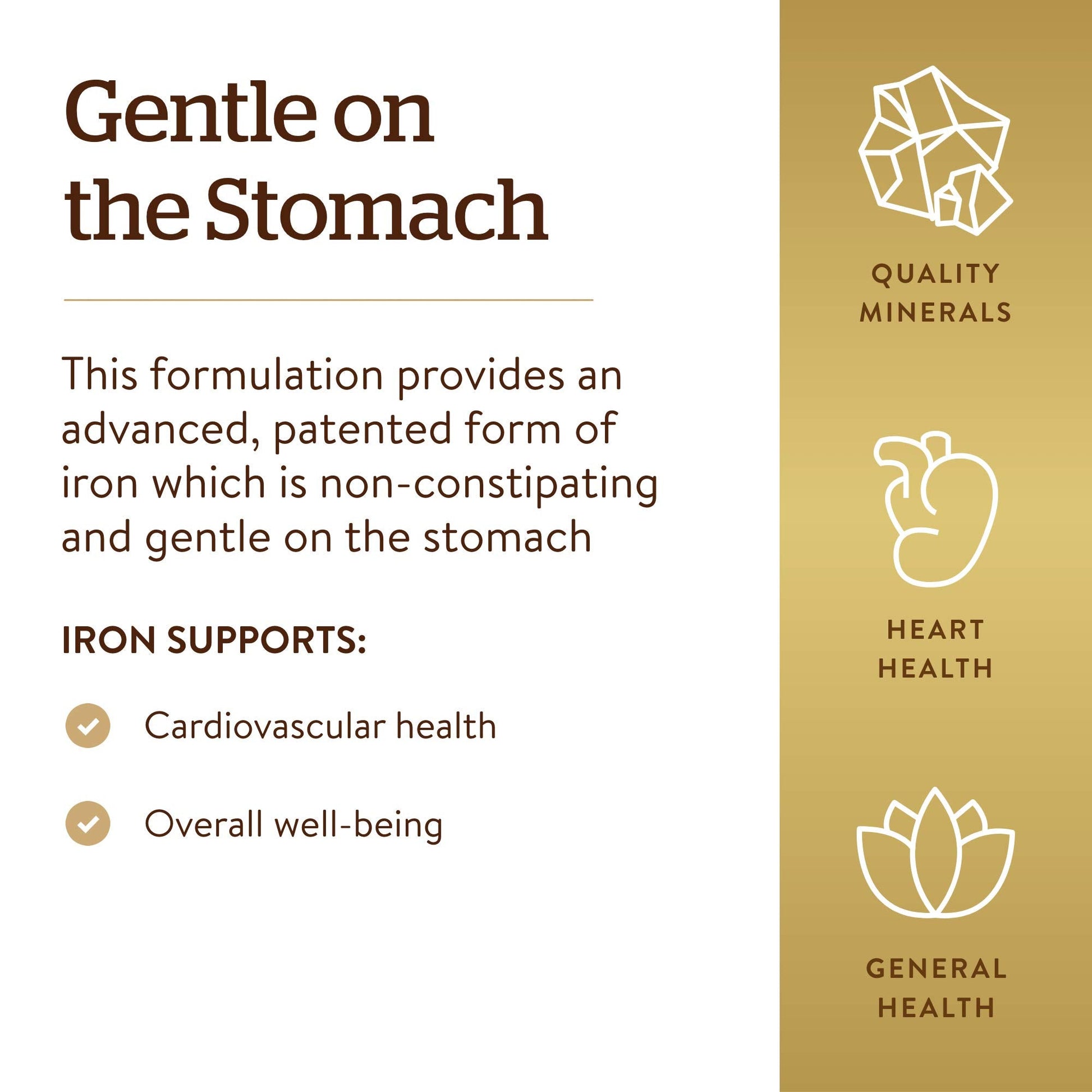 Solgar Gentle Iron, 180 Vegetable Capsules - Ideal for Sensitive Stomachs - Non-Constipating - Red Blood Cell Supplement - Non GMO, Vegan, Gluten-Free, Dairy Free, Kosher - 180 Servings Nirvana Guru
