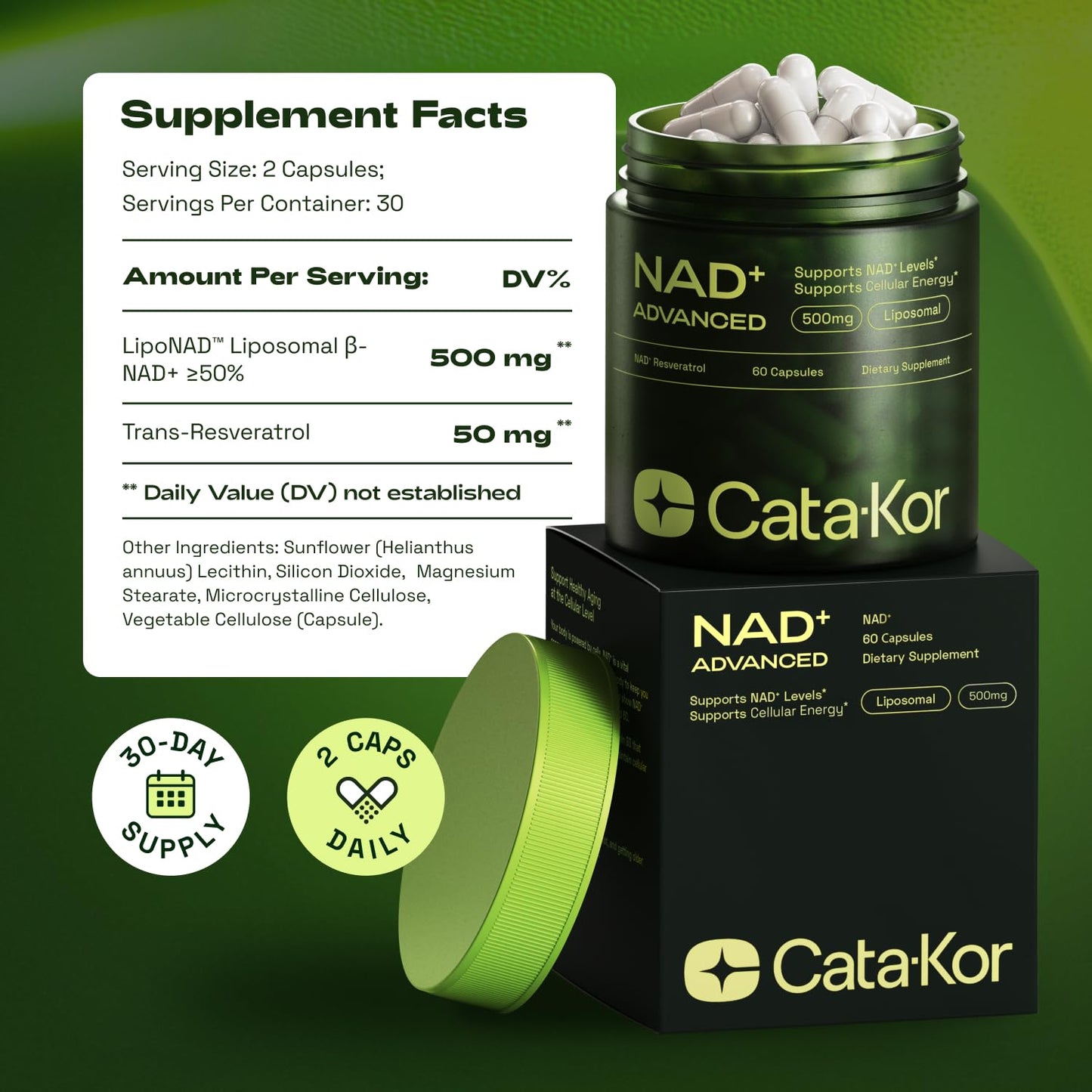 NMNH Supplement Alternative – Liposomal NAD + Resveratrol – 30-Day Supply – High Purity NAD Supplement for Energy & Healthy Aging – 60 Capsules Nirvana Guru