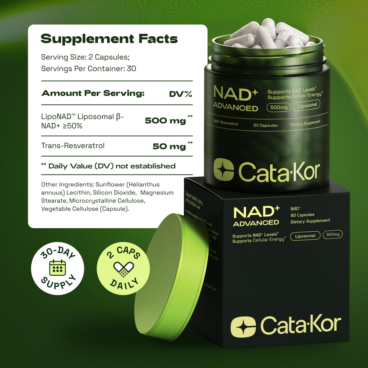 NMNH Supplement Alternative – Liposomal NAD + Resveratrol – 30-Day Supply – High Purity NAD Supplement for Energy & Healthy Aging – 60 Capsules Nirvana Guru
