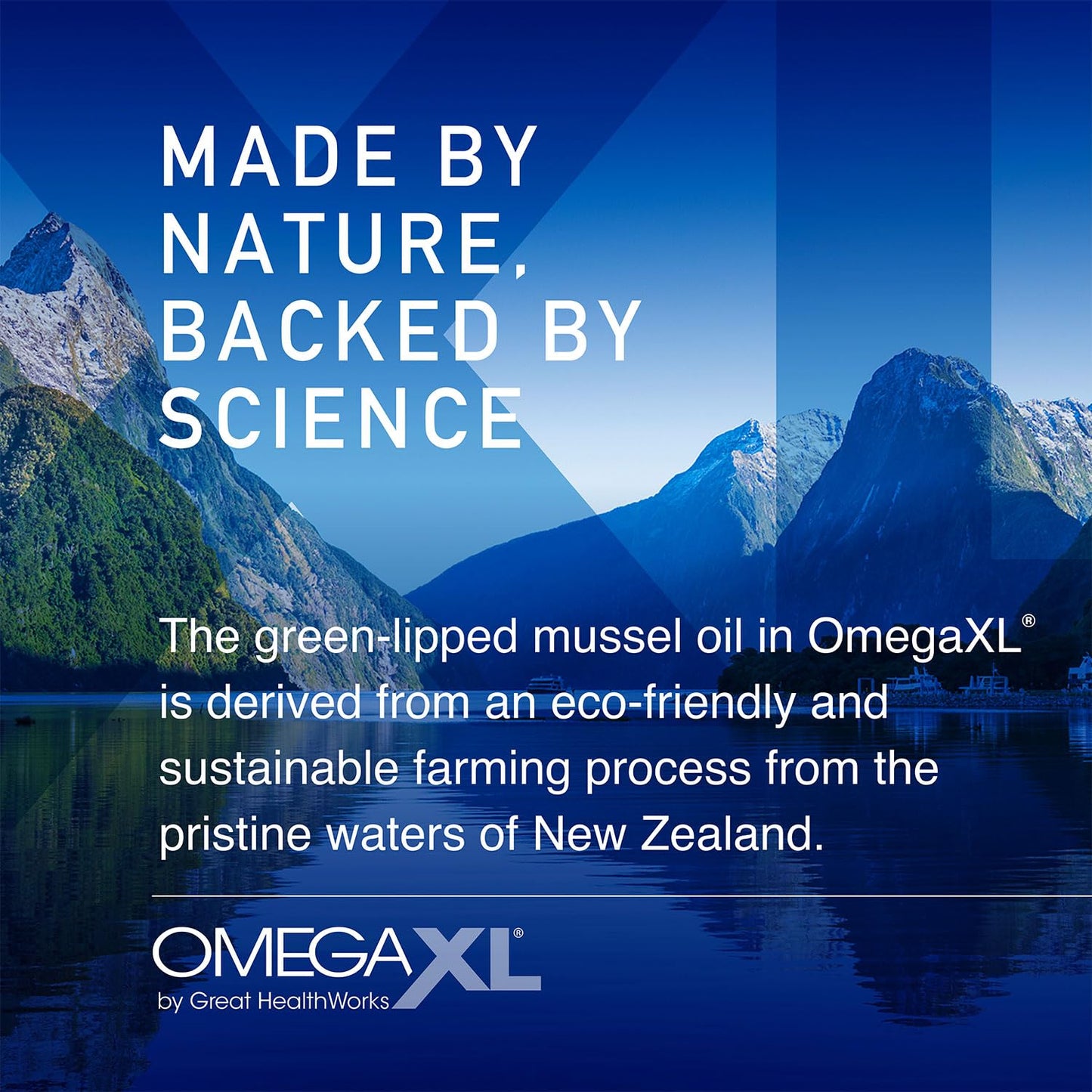 OmegaXL Joint Support Supplement - Natural Muscle Support, Green Lipped Mussel Oil, Soft Gel Pills, Drug-Free, 120 Count Nirvana Guru