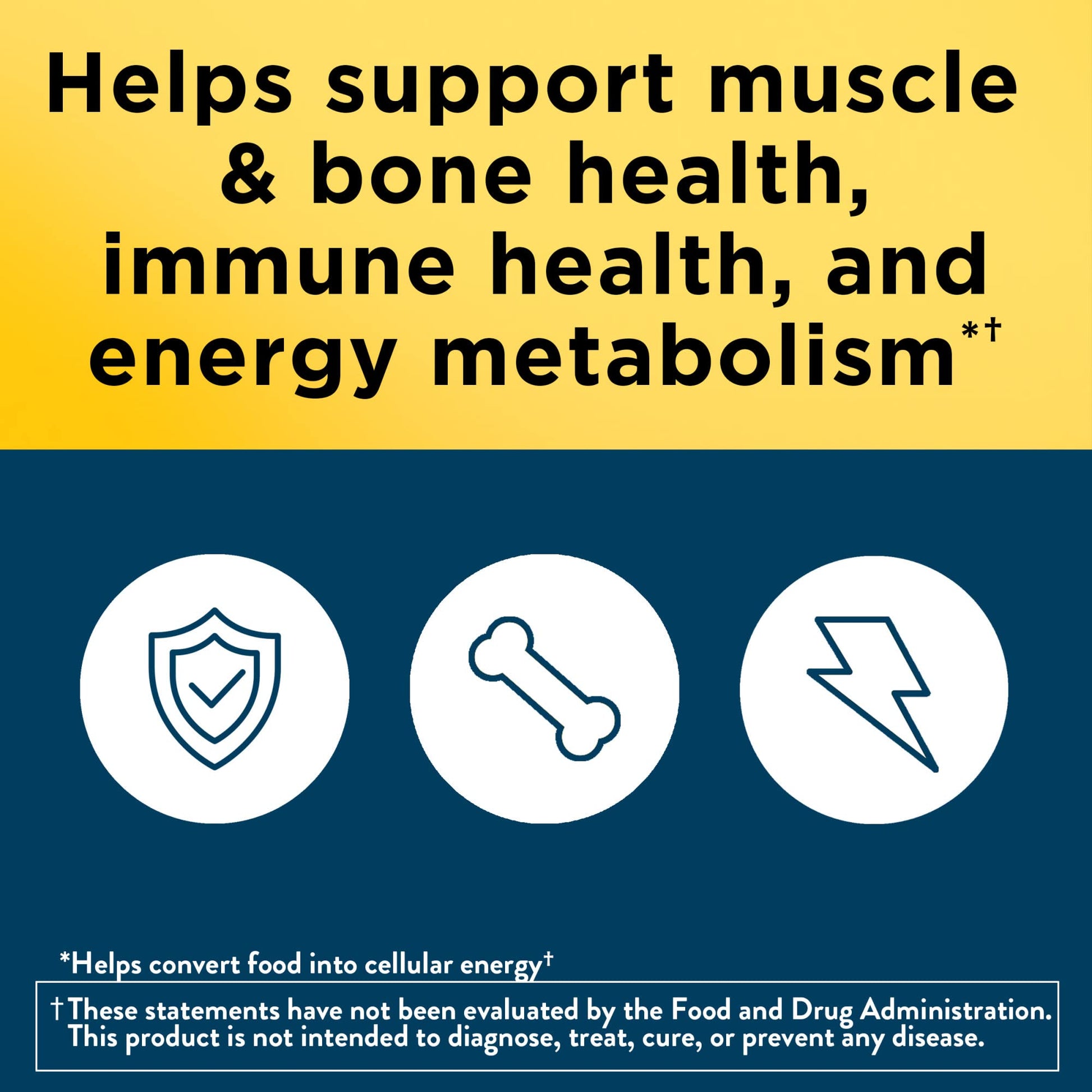Nature Made Multivitamin For Him 50+, Mens Multivitamins for Daily Nutritional Support, Multivitamin for Men, 90 Tablets, 90 Day Supply - Nirvana Guru