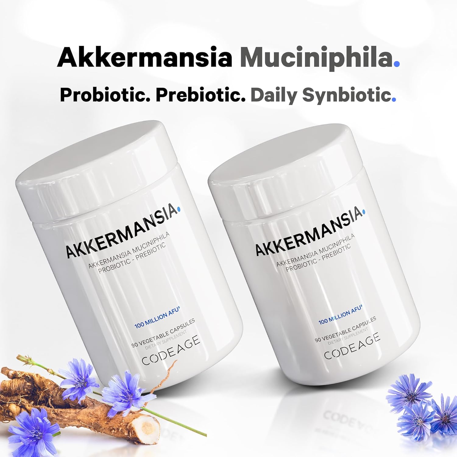 Codeage Akkermansia Muciniphila Probiotic Supplement - 3-Month Supply of Akkermansia & Chicory Inulin - Daily Synbiotic Probiotic Chicory Root - 100 Million AFUs - Gluten-Free - 90 Capsules - Nirvana Guru