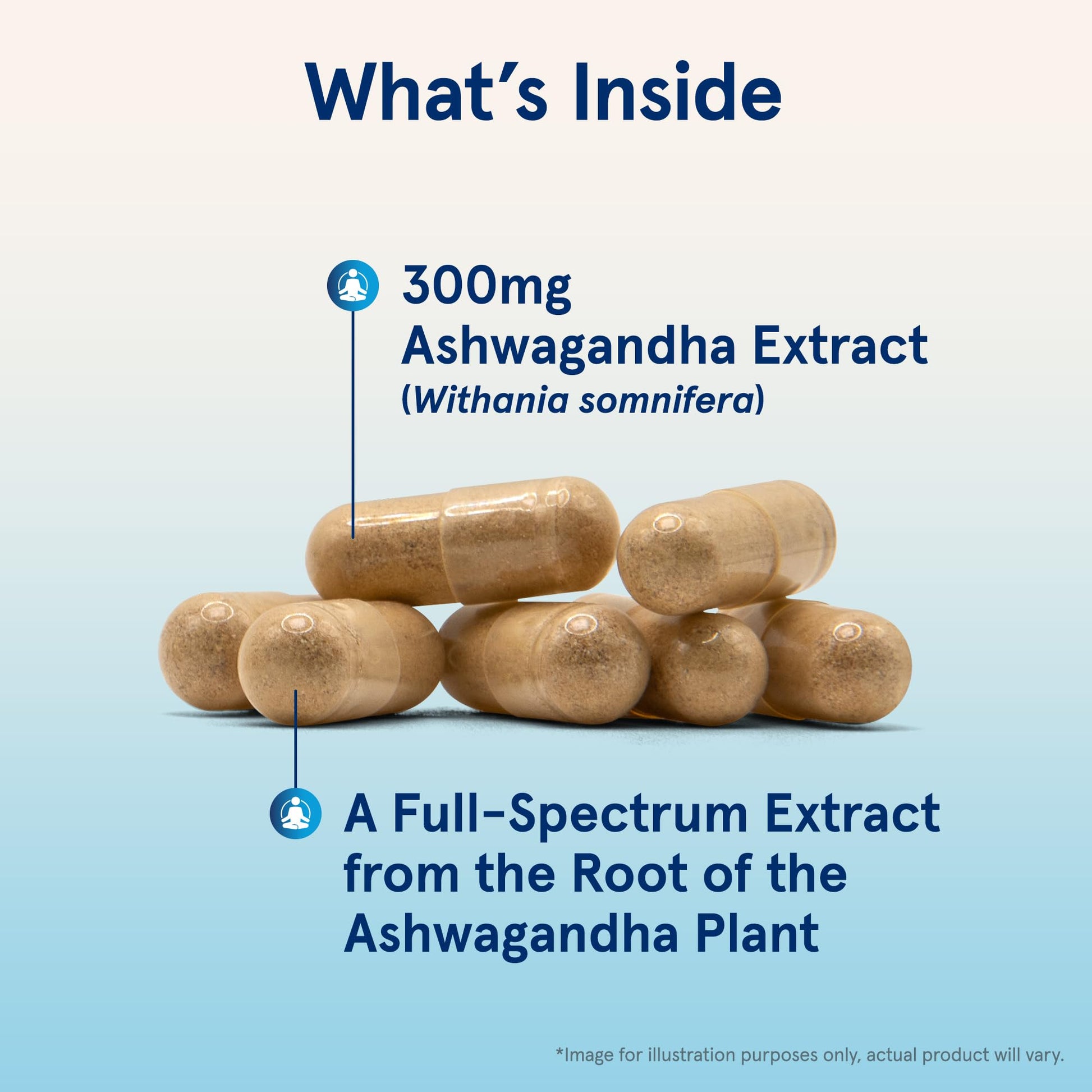 Jarrow Formulas® Ashwagandha Capsules, 300 mg Supplement Supports Normalized Resistance to Mental and Physical Stress, 120 Veggie Capsules, 60 Day Supply - Nirvana Guru