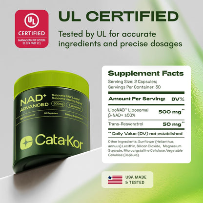 NMNH Supplement Alternative - Liposomal NAD with Resveratrol - High Purity NAD Supplement for Anti-Aging, Energy, Focus - 60 Capsules Nirvana Guru