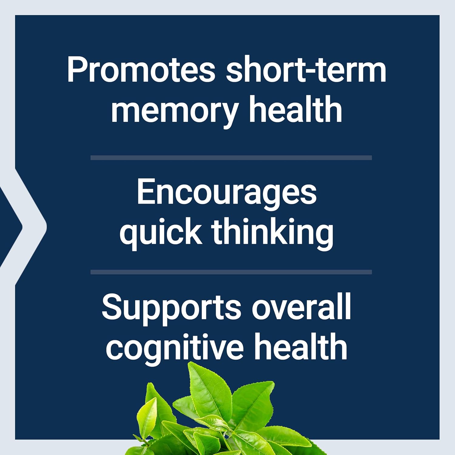 Life Extension Neuro-Mag Magnesium L-Threonate, Magnesium L-threonate, Memory Health, Quick Thinking, Cognitive Health Support, Vegetarian, Non-GMO, 90 Vegetarian Capsules - Nirvana Guru