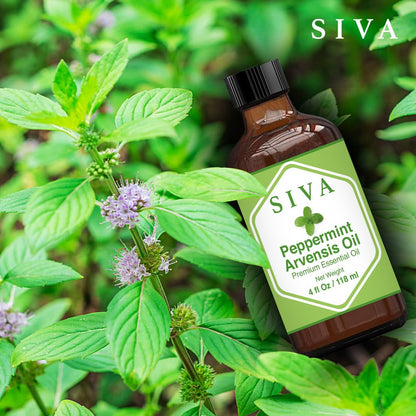 SIVA Lavender Essential Oil - 4 Fl Oz – Natural Lavender Oil - for Diffuser, Face, Skin Care, Aromatherapy, Hair Care, Scalp and Body Massage - with Dropper - Nirvana Guru