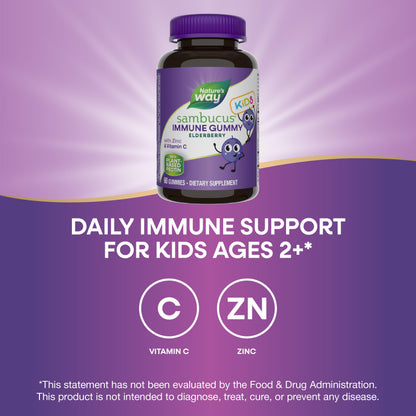 Nature's Way Sambucus Elderberry Immune Gummies for Kids, Immune Support Gummies*, with Black Elderberry Extract, Vitamin C and Zinc, 60 Gummies (Packaging May Vary) - Nirvana Guru