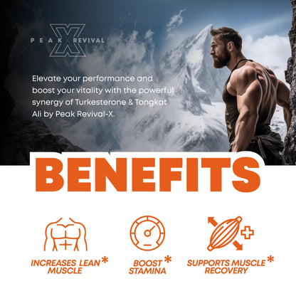 Turkesterone & Tongkat Ali 1000mg Supplement - 500mg Ajuga Turkestanica Per Serving Increase Stamina, Lean Muscle Growth & Recovery - Made in The USA (60 Capsules)