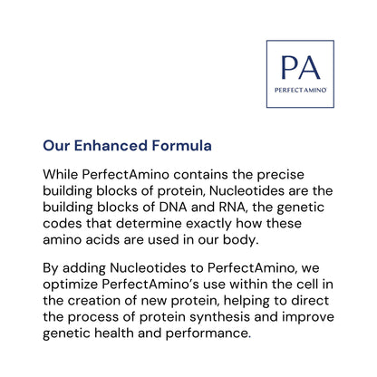 BodyHealth PerfectAmino Powder - BCAA and EAA Powder for Pre and Post Workout - Amino Acid Energy Drink for Men and Women to Support Lean Muscle and Recovery - Strawberry - 30 Servings Nirvana Guru