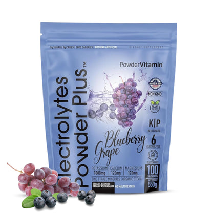 PowerVitamin Lemonade Electrolytes Powder No Sugar for Daily Energy - Keto Electrolytes - Hydration Powder with 1000mg Potassium, 120mg Calcium, Magnesium, Organic Vitamin C, 100 Servings