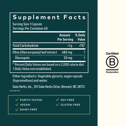 Gaia Herbs Olive Leaf - Traditional Immune Health Support - Immune System Supplement with Olive Leaf Extract and Oleuropein - 120 Vegan Liquid Phyto-Caps - Nirvana Guru