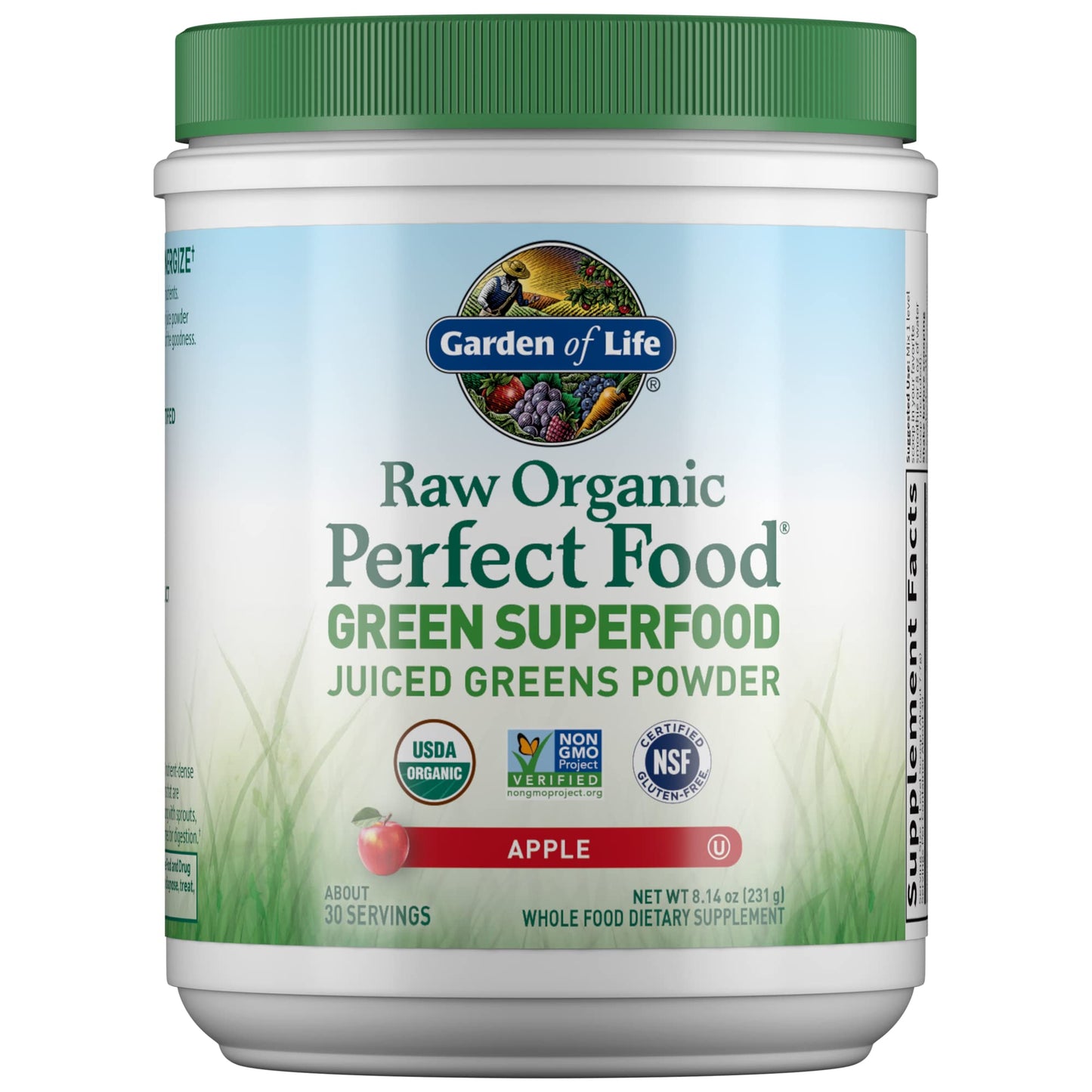Garden of Life Raw Organic Perfect Food Green Superfood Juiced Greens Powder - Chocolate, 30 Servings (Packaging May Vary) - Nirvana Guru