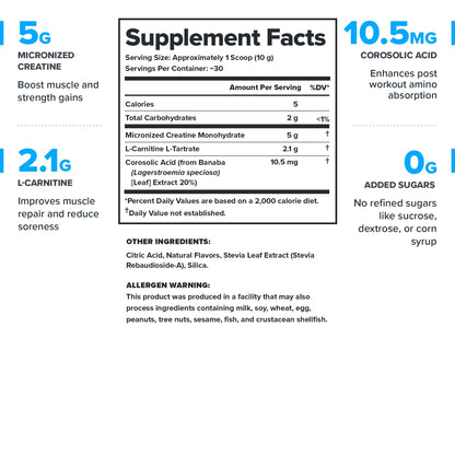 LEGION Recharge Post Workout Drink - Micronized Creatine Monohydrate Natural Post Workout Recovery Drink - Muscle Builder & Recovery Booster Post Workout Supplements (Strawberry Lemonade, 30 Servings) Nirvana Guru