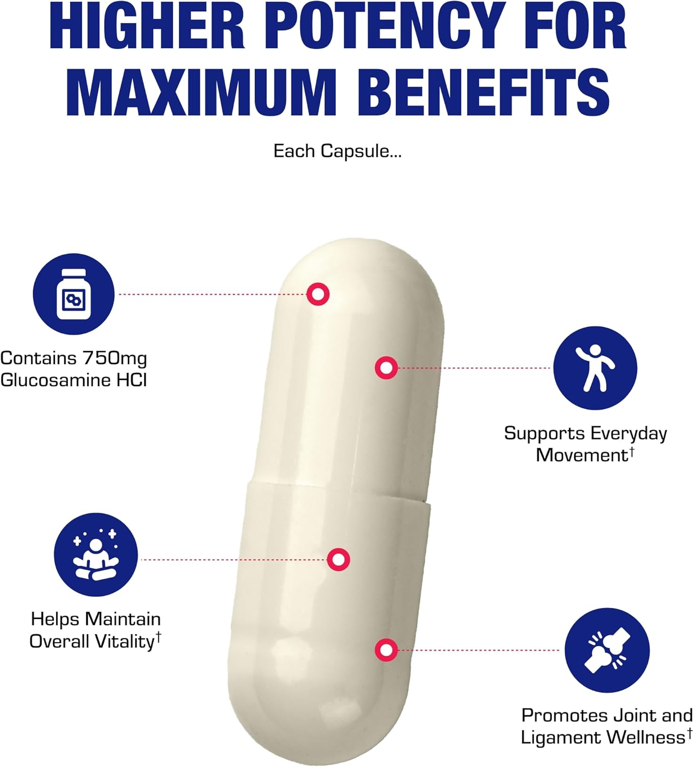 Vegan Glucosamine Joint Health Supplement - Soft Tissue Cartilage Tendon and Ligament Supplement for Enhanced Mobility Comfort & Flexibility - Non-GMO Shellfish Free & Made in The USA - 120 Servings Nirvana Guru