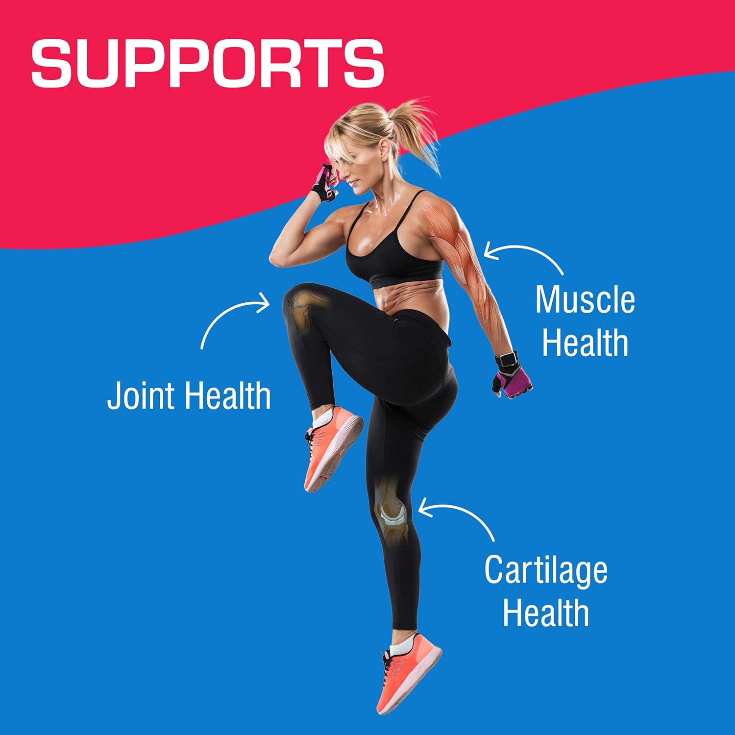High Absorption Glucosamine Chondroitin MSM - Clinical Formula Bone Joint Tendon and Ligament Supplement with MSM Glucosamine Chondroitin - Non-GMO Gluten Free & Made in The USA - 120 Servings Nirvana Guru