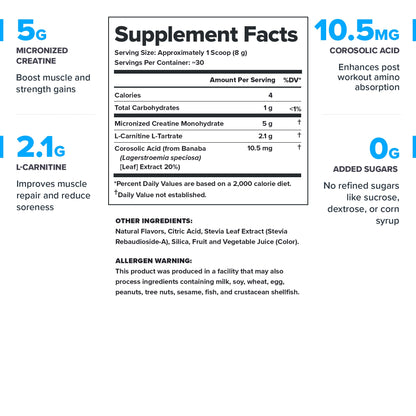LEGION Recharge Post Workout Drink - Micronized Creatine Monohydrate Natural Post Workout Recovery Drink - Muscle Builder & Recovery Booster Post Workout Supplements (Strawberry Lemonade, 30 Servings) Nirvana Guru