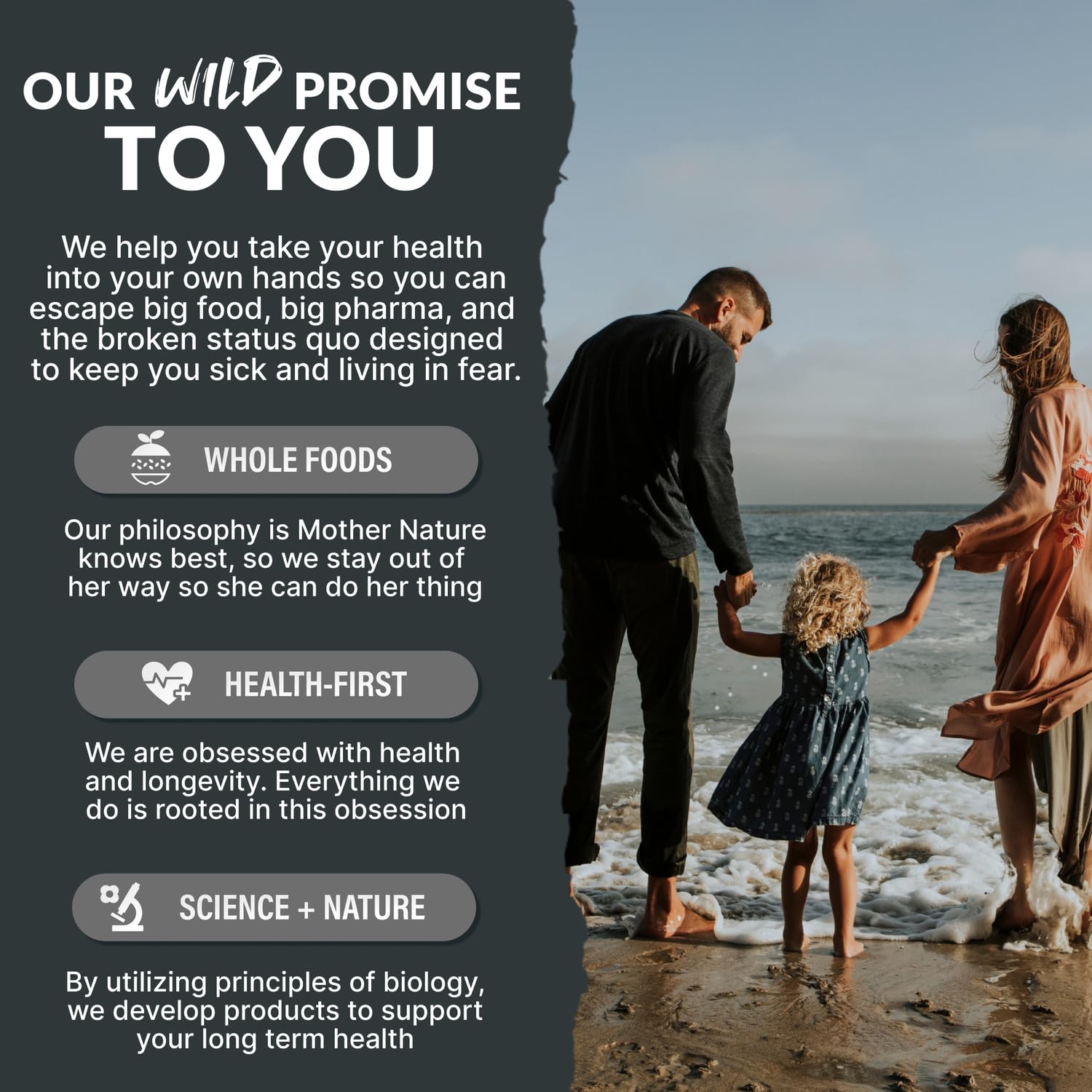 Wild Foods Magnesium Complex Supplement with 7X Forms, 90 Capsules | High Absorption, Full Spectrum, Easy Digestion | 500mg Glycinate, Bisglycinate, Malate, Orotate, Citrate, Taurate Nirvana Guru