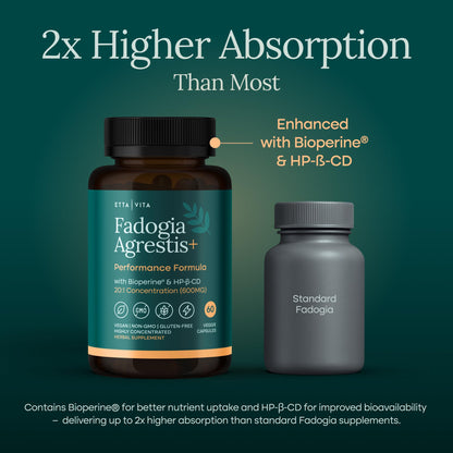 Potent Nattokinase 4000 FU Serrapeptase 240000 SPU Lumbrokinase 2000 FU Supplement - Proteolytic Enzymes Capsules for Energy Support, Digestion, Detox, Cognition & Gut Health for Men & Women Nirvana Guru