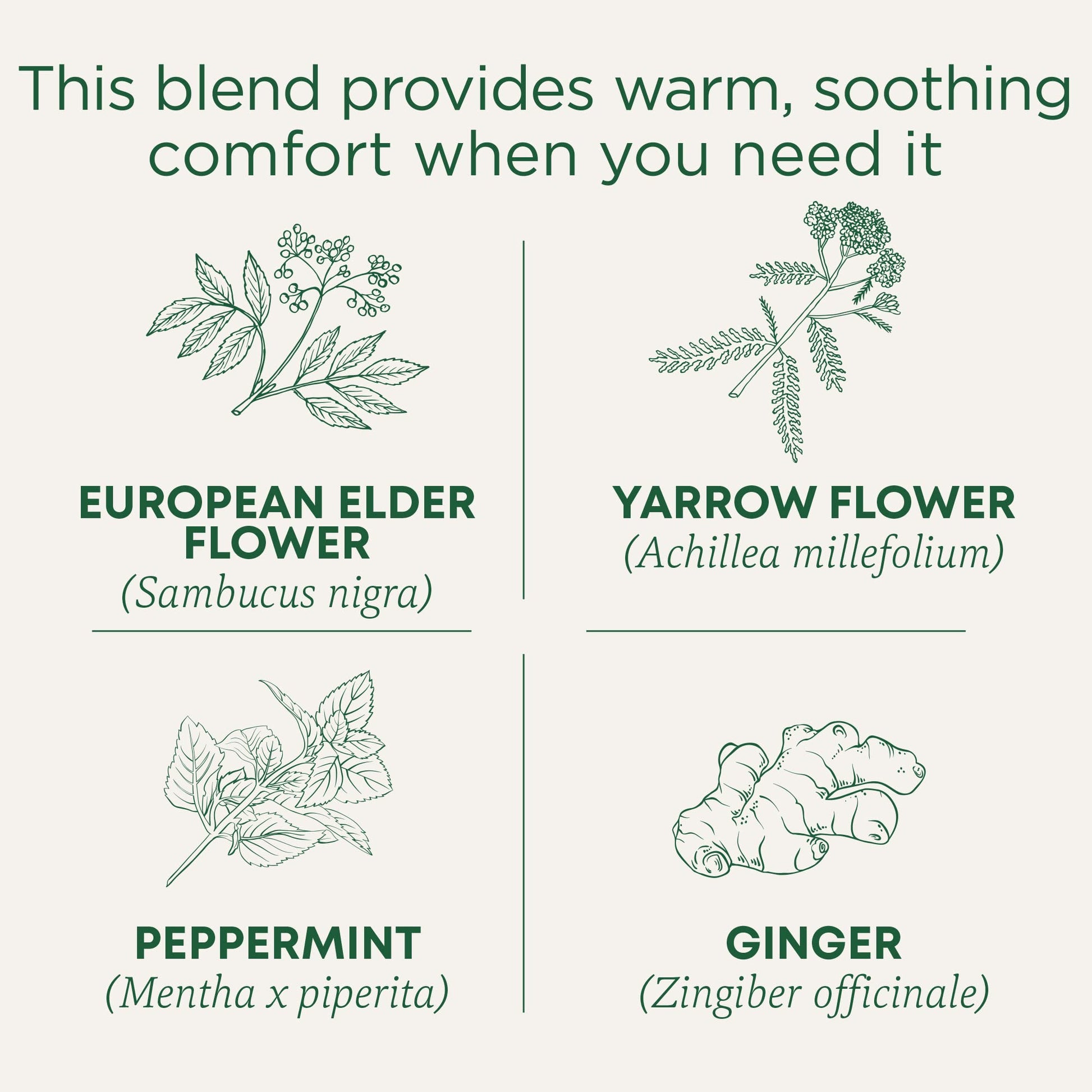 Traditional Medicinals Tea, Herbal Cold Care Seasonal Tea with Elderflower Spice, 16 Tea Bags - Nirvana Guru