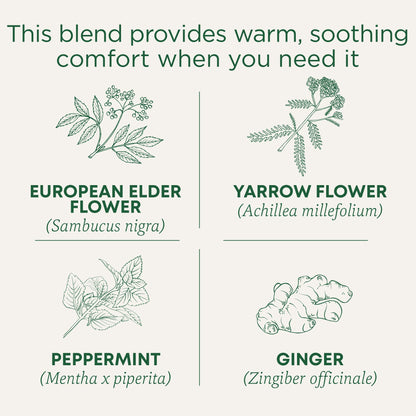 Traditional Medicinals Tea, Herbal Cold Care Seasonal Tea with Elderflower Spice, 16 Tea Bags - Nirvana Guru