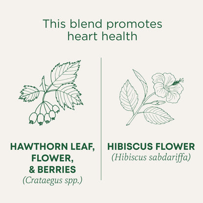 Traditional Medicinals - Organic Hibiscus Herbal Tea (6 Pack) - Supports Heart Health - 96 Tea Bags Total - Nirvana Guru
