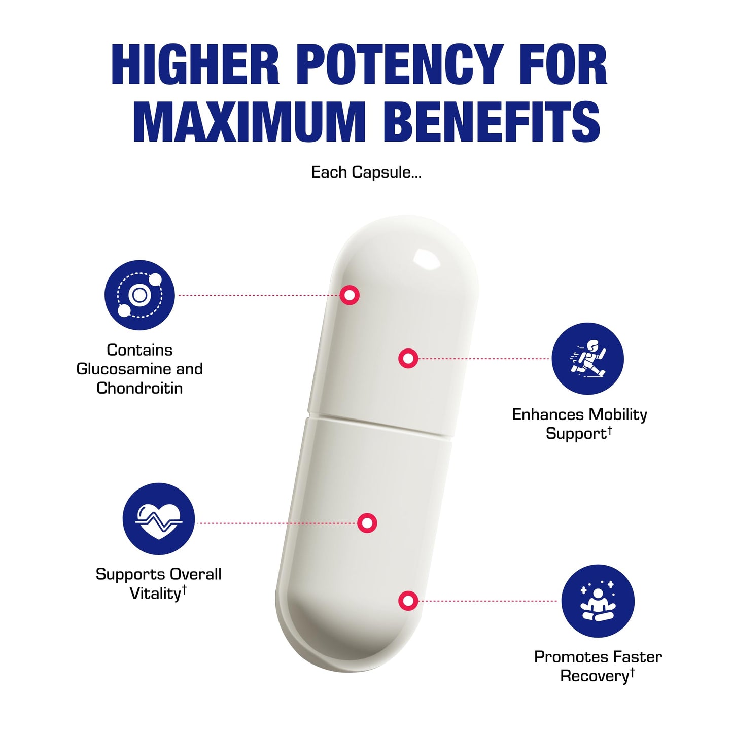 Nutra Disc & Joint Support Supplement - Clinically Formulated Restorative Cartilage Ligament and Tendon Supplement with Patented Meriva Curcumin & Glucosamine and Chondroitin for Adults - 45 Servings Nirvana Guru